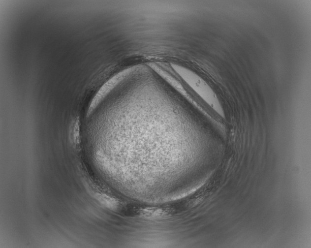 X0000073980502200609181720