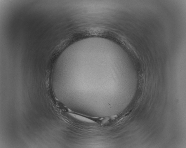 X0000073980505200609181720