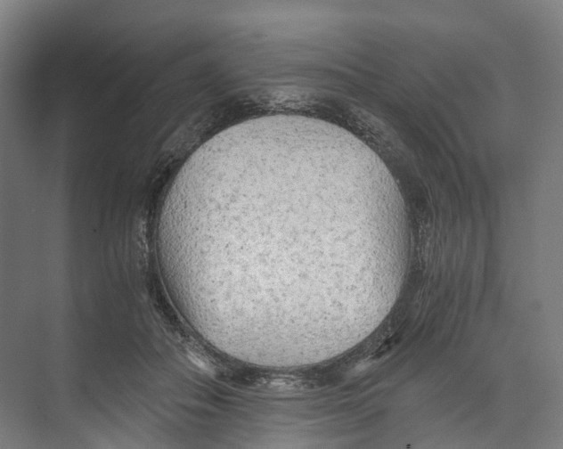 X0000073980506200609181720