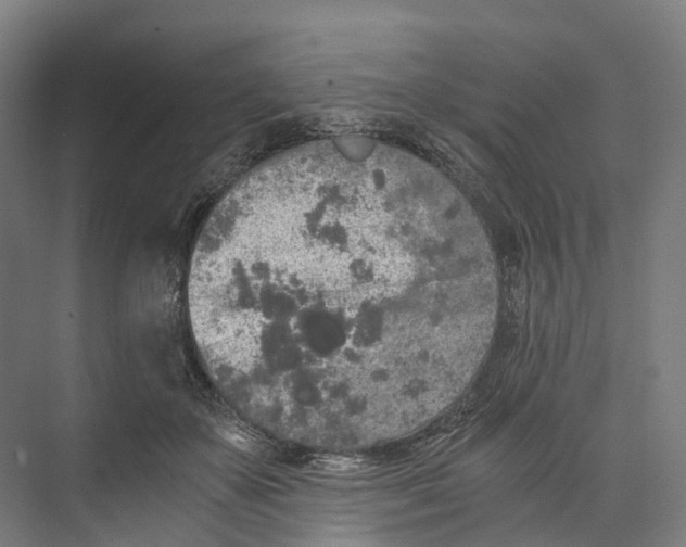 X0000073980507200609181720