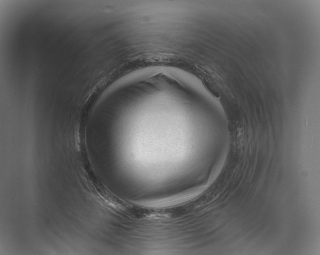 X0000073980508200609181720