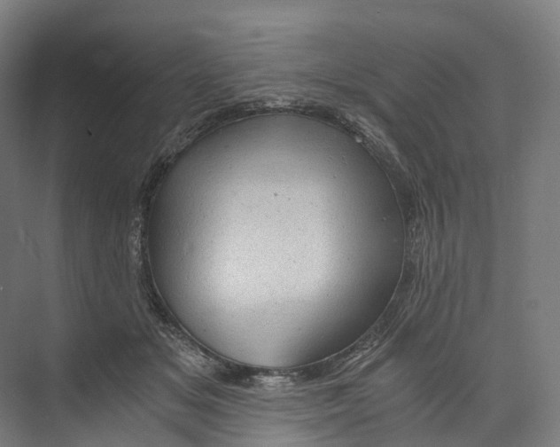 X0000073980509200609181720