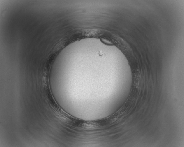 X0000073980510200609181720