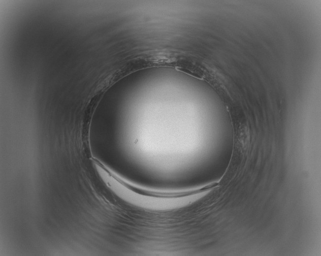 X0000073980512200609181720