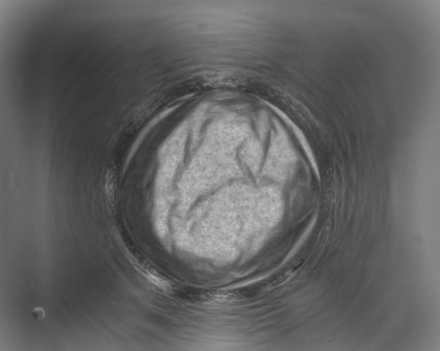 X0000073980513200609181720