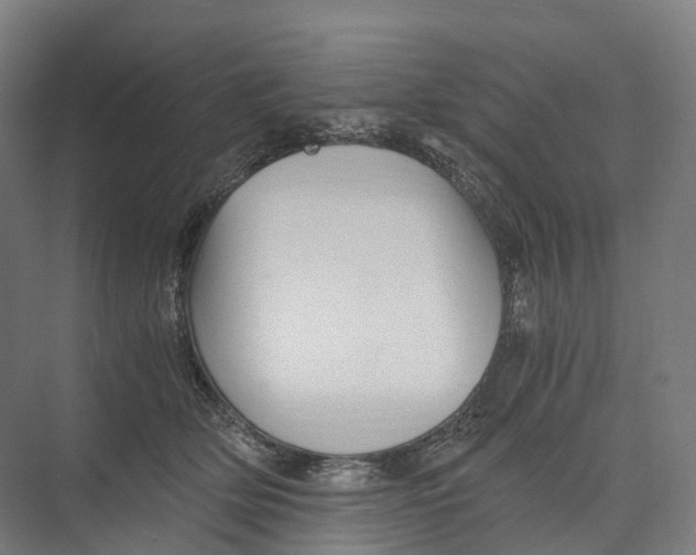 X0000073980514200609181720