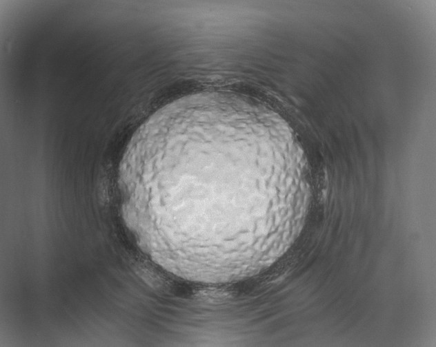 X0000073980515200609181720