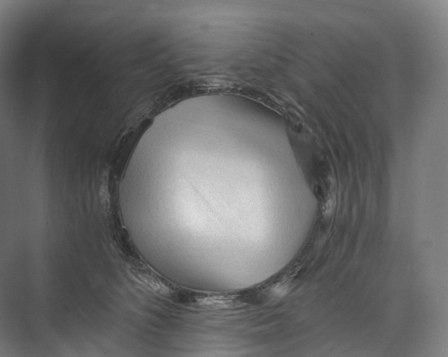 X0000073980516200609181720