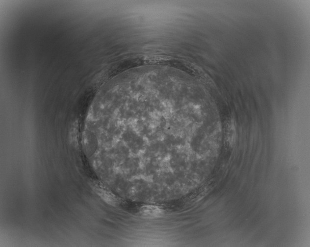 X0000073980519200609181720