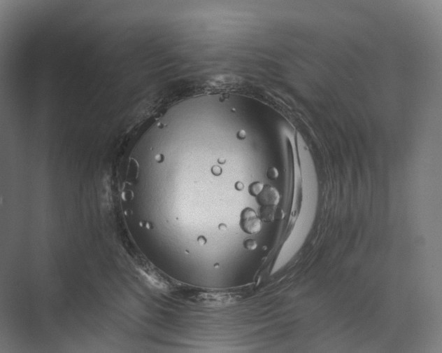 X0000073980520200609181720