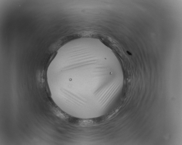 X0000073980525200609181720