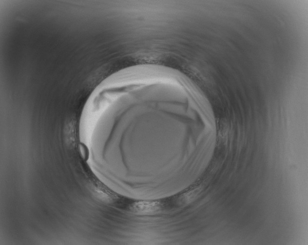 X0000073980526200609181720