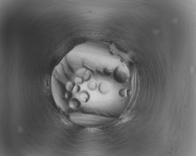 X0000073980528200609181719