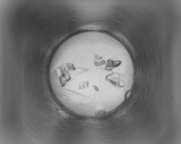 X0000073980529200609181719