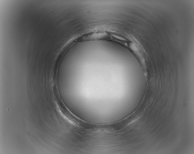 X0000073980530200609181719