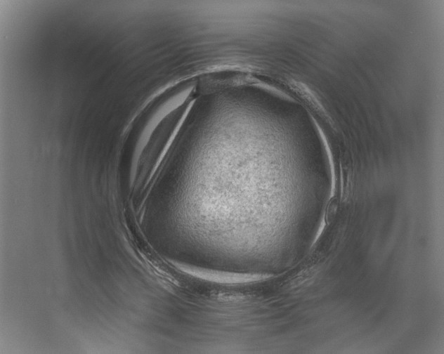 X0000073980531200609181719