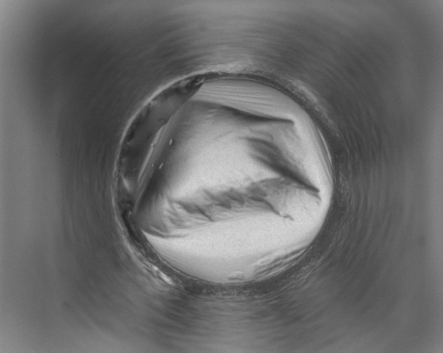 X0000073980532200609181719