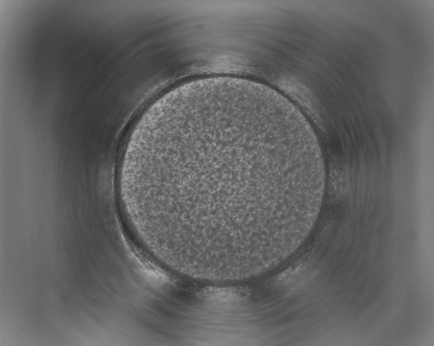 X0000073980534200609181719