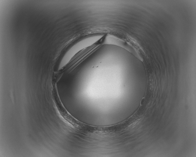 X0000073980538200609181719