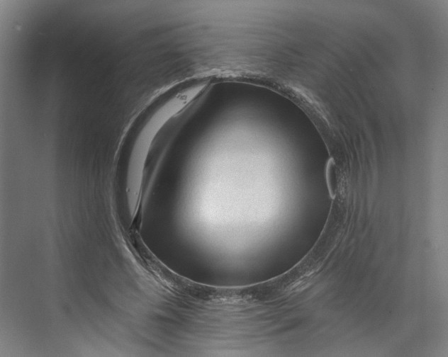 X0000073980540200609181719