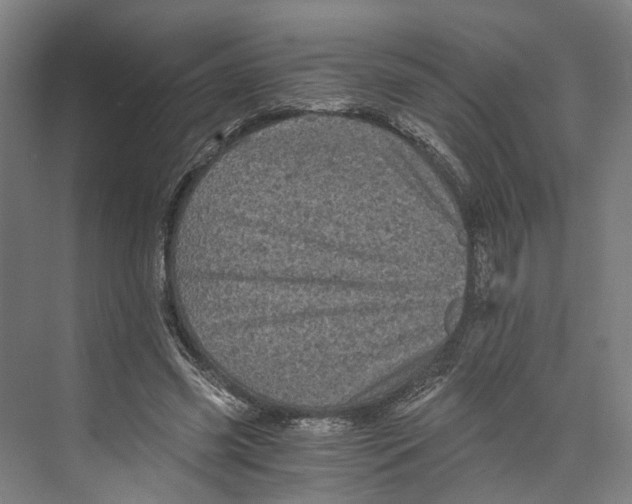 X0000073980541200609181719