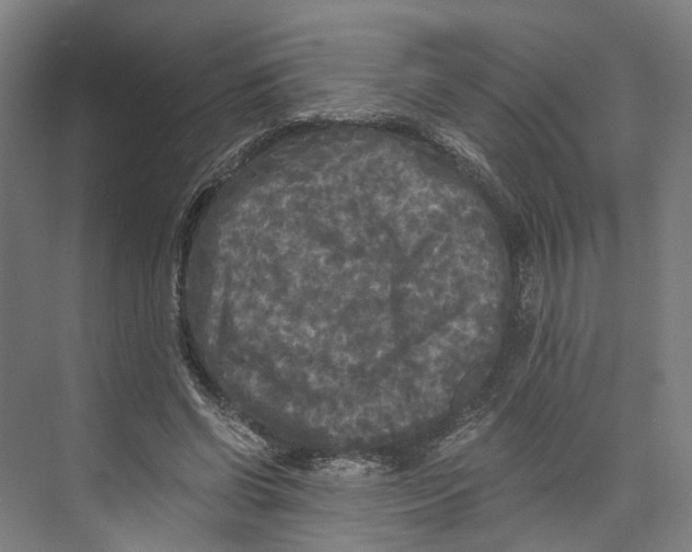 X0000073980542200609181719