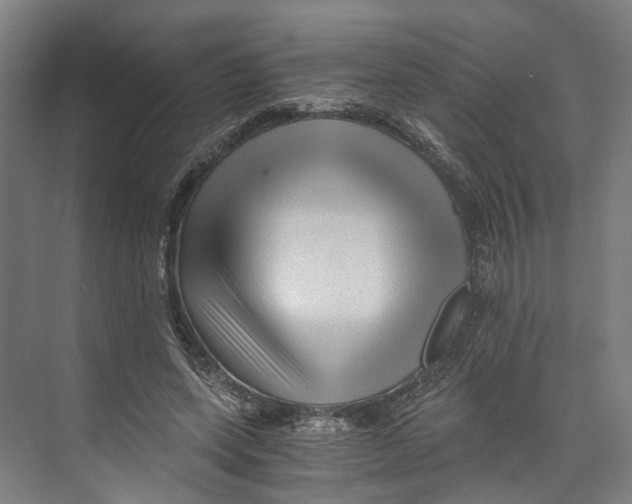 X0000073980543200609181719