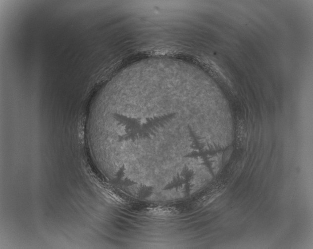 X0000073980545200609181719