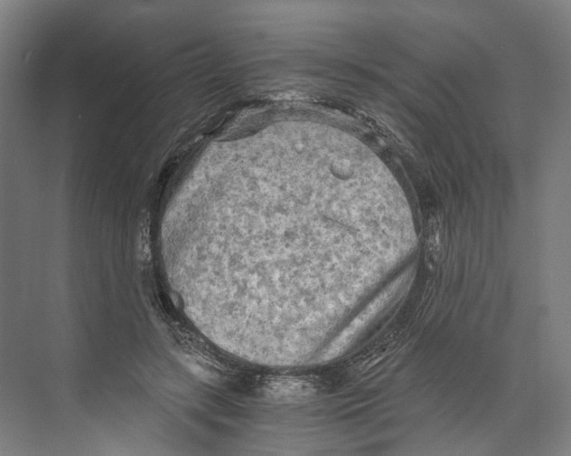 X0000073980547200609181719