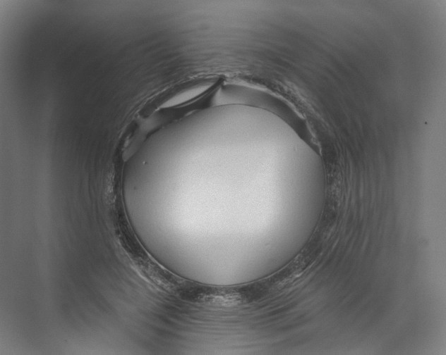 X0000073980548200609181719