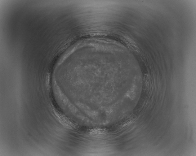 X0000073980550200609181719