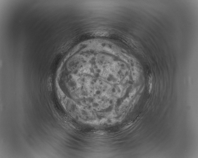 X0000073980551200609181719