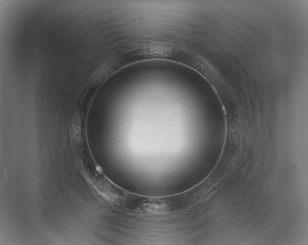 X0000073980552200609181719