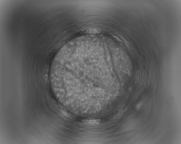 X0000073980553200609181719