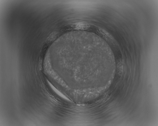 X0000073980554200609181719