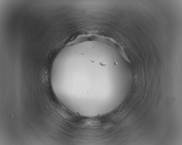 X0000073980555200609181719