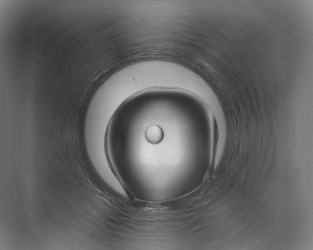 X0000073980556200609181719