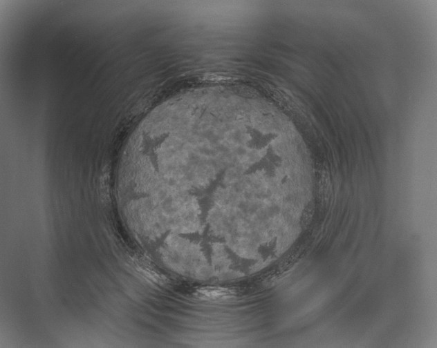 X0000073980557200609181719