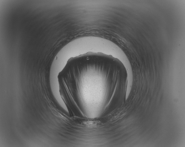 X0000073980558200609181719