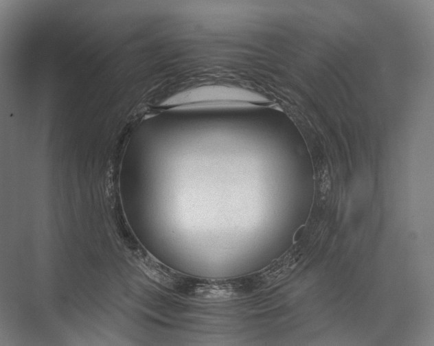 X0000073980559200609181719