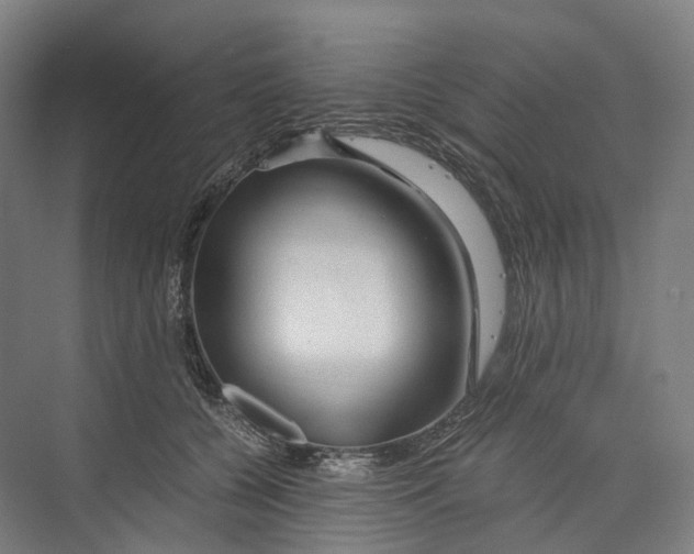 X0000073980560200609181719