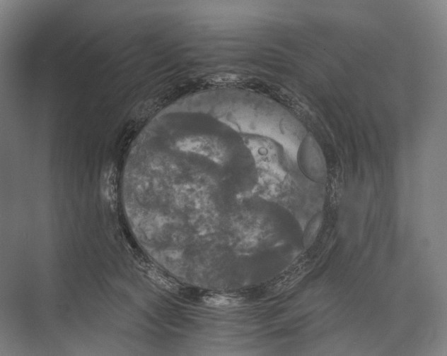 X0000073980561200609181719