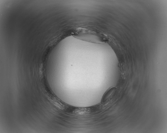 X0000073980563200609181719