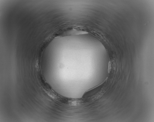 X0000073980564200609181719