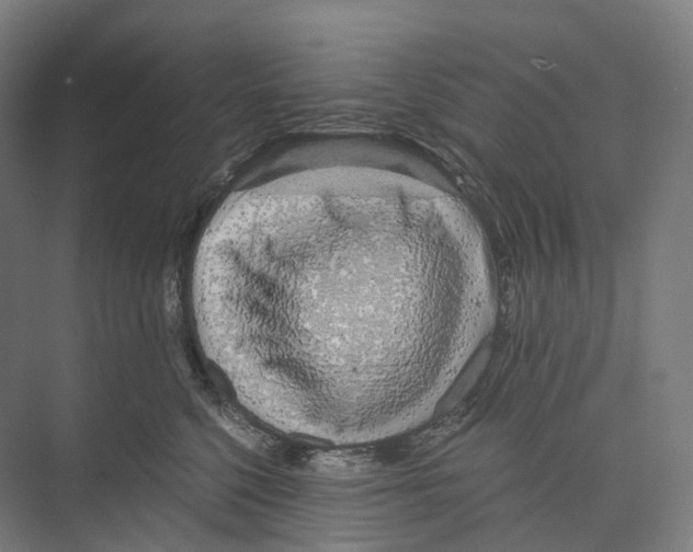 X0000073980568200609181719