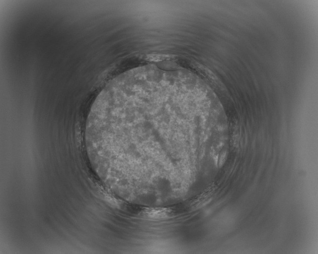 X0000073980569200609181719