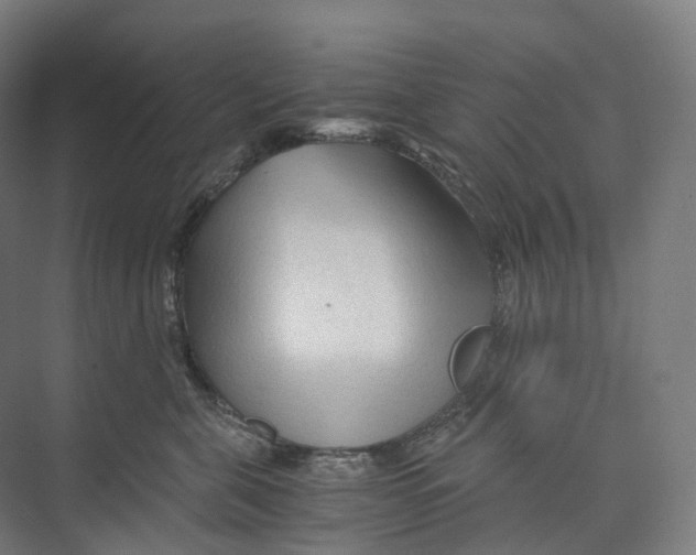 X0000073980571200609181719