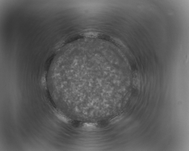 X0000073980573200609181719