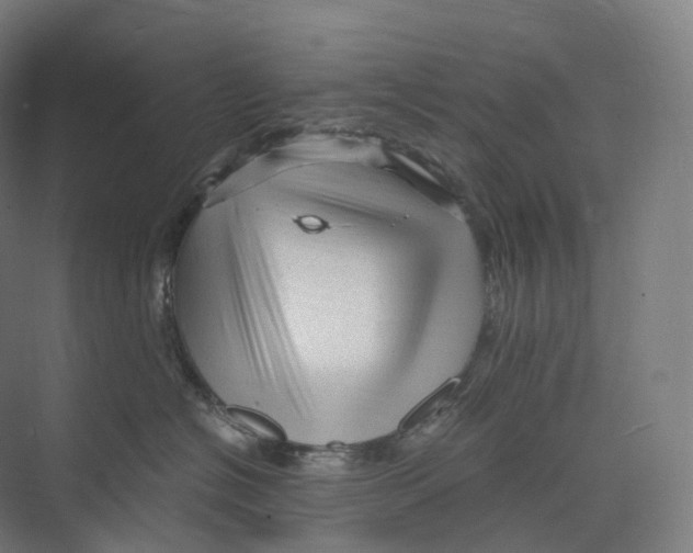 X0000073980574200609181719