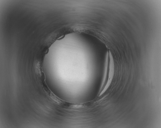 X0000073980575200609181719